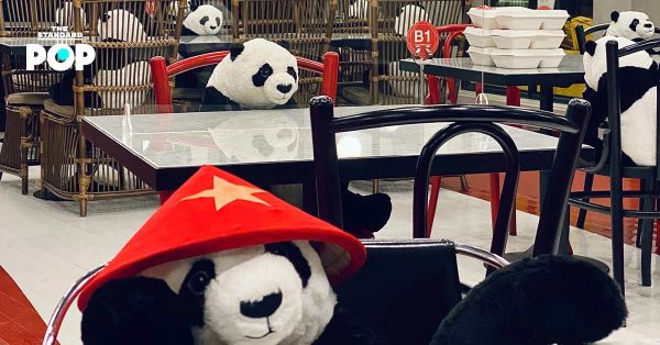 social-distancing-pandas-fill-empty-seats-at-bangkok-restaurant