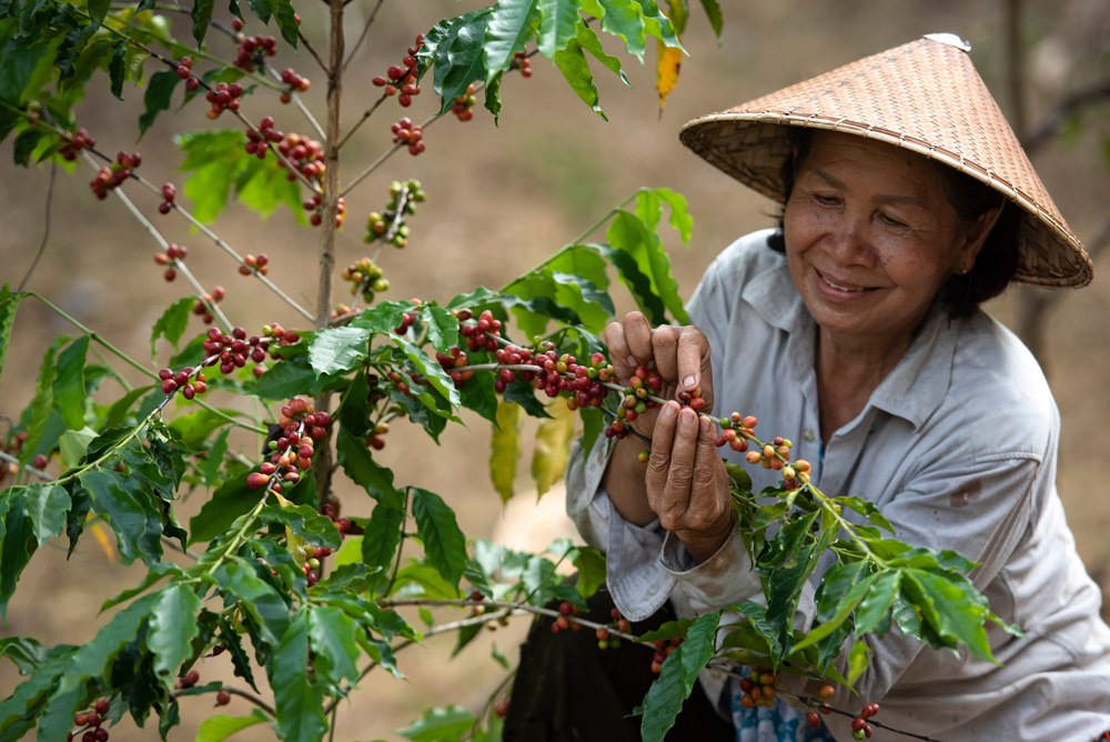 Food and Agro-Tourism - Destination Mekong